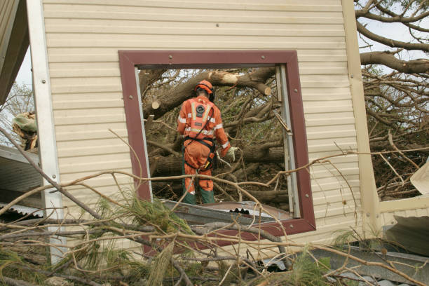 How Our Tree Care Process Works  in  Buckhall, VA